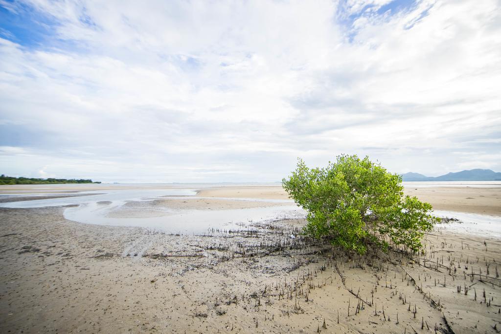 Pawarisa Resort Pathio Luaran gambar