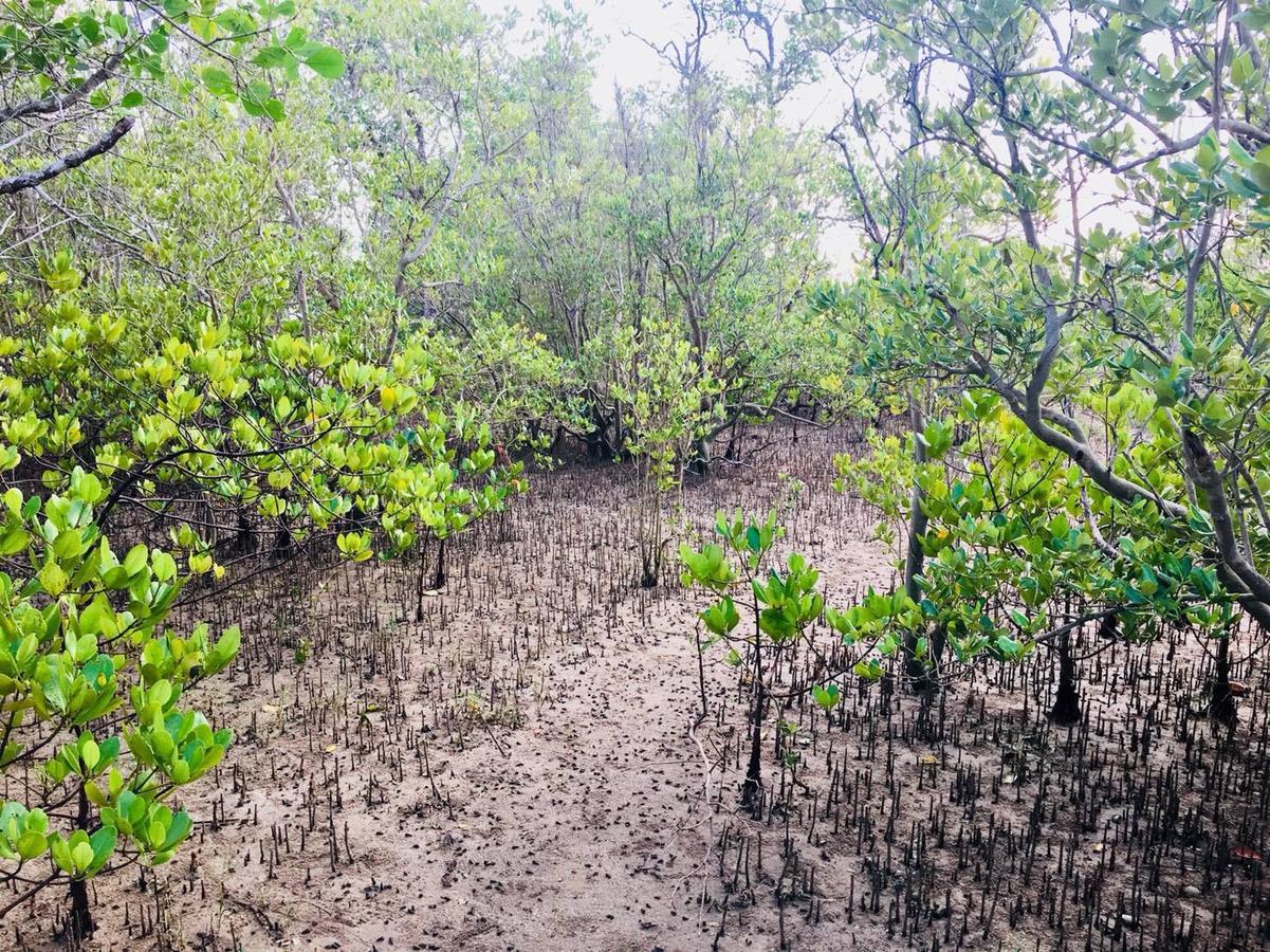 Pawarisa Resort Pathio Luaran gambar